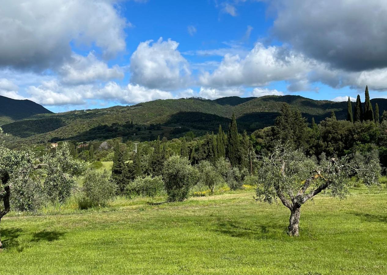 Agriturismo Il Ghiaccio 苏韦雷托 外观 照片