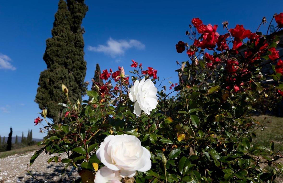Agriturismo Il Ghiaccio 苏韦雷托 外观 照片